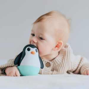 Soft Sensory Moments Bundle